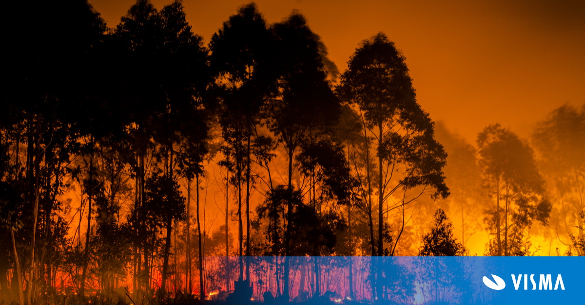 Image of a raging forest fire